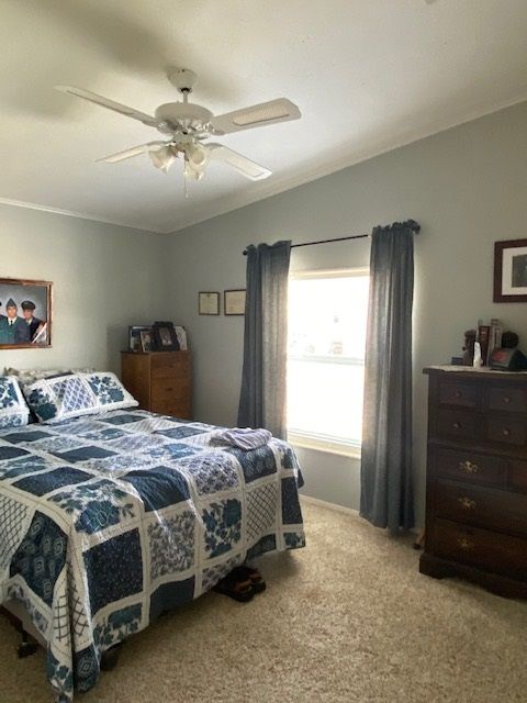 IMG 0203
