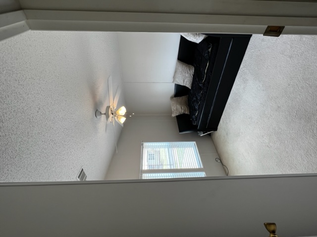 IMG 4719