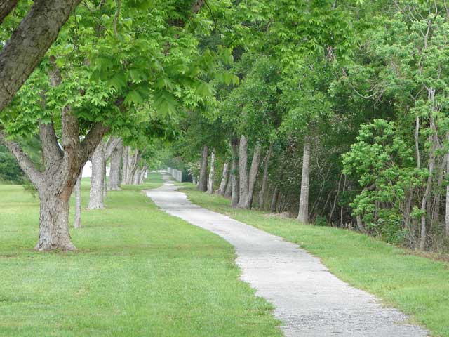 grove path